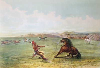Cacciatori Osage che catturano cavalli selvaggi da George Catlin