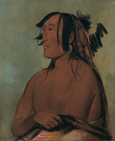 Pa-ris-ka-roó-pa, Due corvi, il più giovane da George Catlin