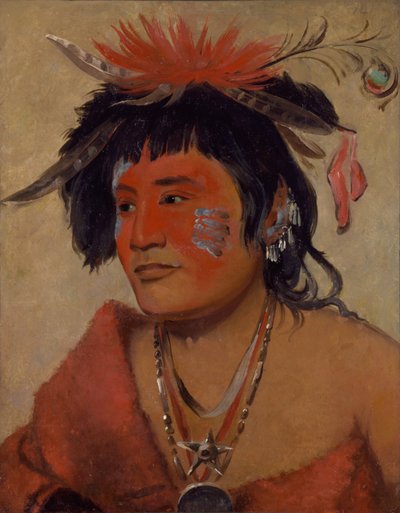 Pah-shee-náu-shaw, un guerriero da George Catlin
