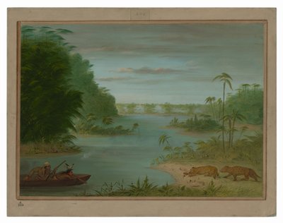 Pont de Palmiers e caccia alla tigre da George Catlin