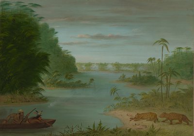Pont de Palmiers e caccia alla tigre, 1854-1869 da George Catlin