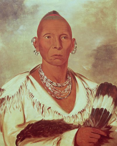 Ritratto di Falco Nero, capo indiano da George Catlin