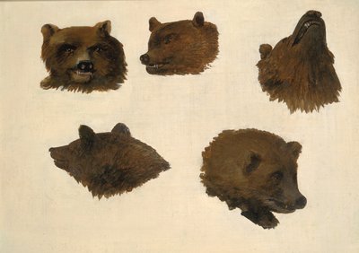 Ritratti di due orsi grizzly, dal vivo, 1839-1840 da George Catlin