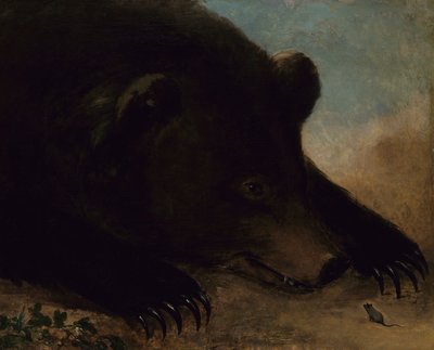Ritratti di un orso grizzly e di un topo, a grandezza naturale da George Catlin