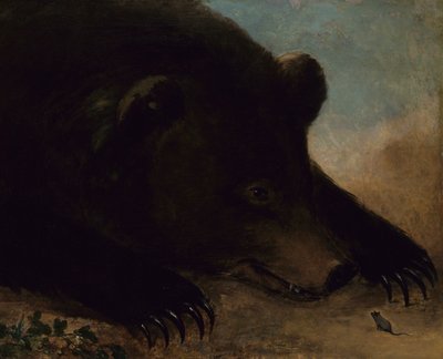 Ritratti di un orso grizzly e di un topo, dimensioni reali da George Catlin