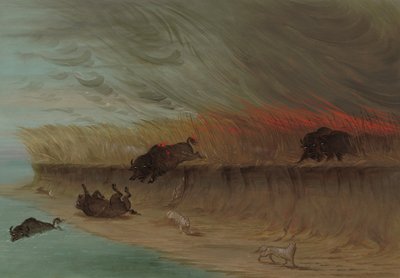 Praterie in fiamme, 1861-1869 da George Catlin