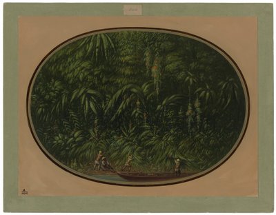 Riva del Trombetas da George Catlin