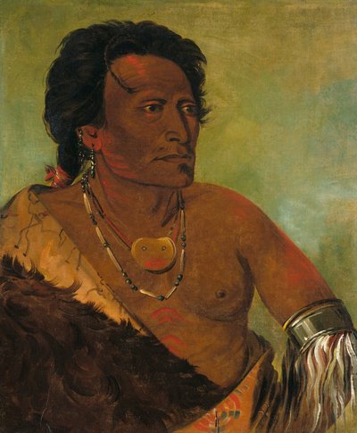Sky-se-ró-ka, secondo capo della tribù da George Catlin