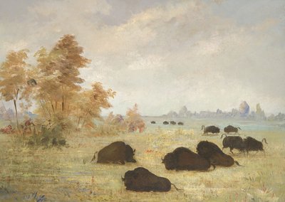 Pedinamento di Buffalo, Arkansas da George Catlin