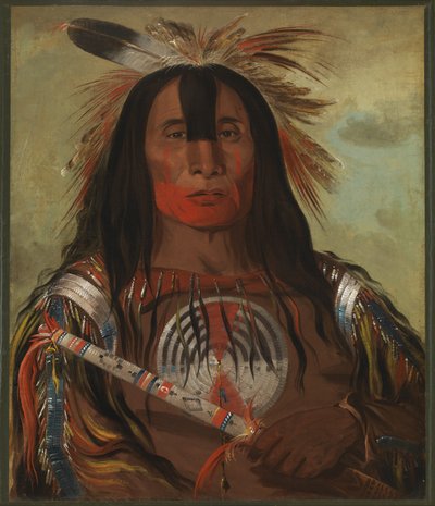 Stu-mick-o-súcks, grasso della schiena del toro di bufalo, capo della tribù del sangue da George Catlin