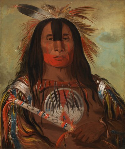 Stu-mick-o-súcks, Grasso della schiena del toro di bufalo, Capo supremo, Tribù del sangue, 1832 da George Catlin