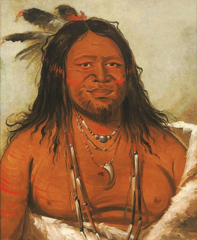 Ta-wáh-que-nah, Montagna di Rocce, Secondo Capo Tribù da George Catlin