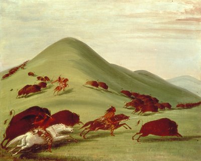 La Caccia al Bisonte da George Catlin