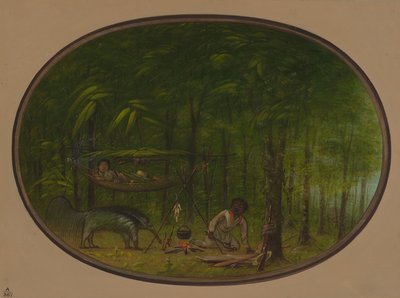 Il Grande Formichiere da George Catlin