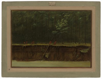 Veduta del basso Mississippi da George Catlin