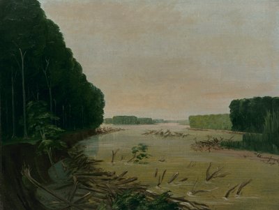 Vista sul Missouri, banchi alluvionali in caduta, 600 miglia sopra St. Louis da George Catlin