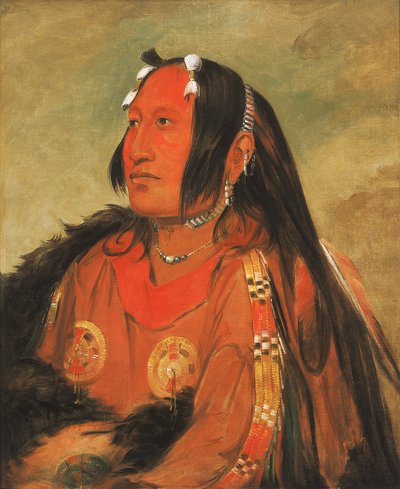 Wi-jún-jon, Testa di Uovo di Piccione La Luce, un giovane guerriero distinto da George Catlin