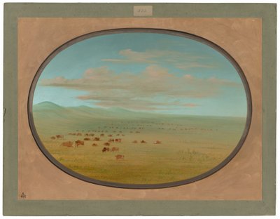 Bovini selvatici che pascolano sulla Pampa del Sacramento da George Catlin
