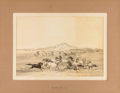 Cavalli selvaggi in gioco - n. 3 da George Catlin