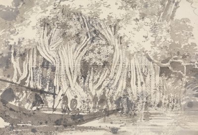 Un Albero Pipul da George Chinnery
