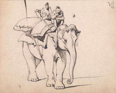 Un elefante da George Chinnery