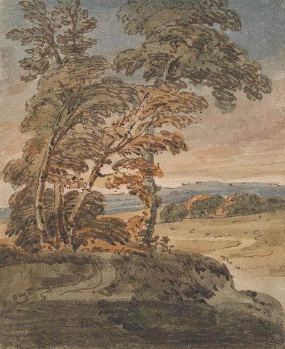 Alberi su un sentiero collinare da George Chinnery