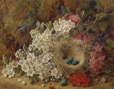 Un nido di uccelli e fiori su una riva muschiosa da George Clare