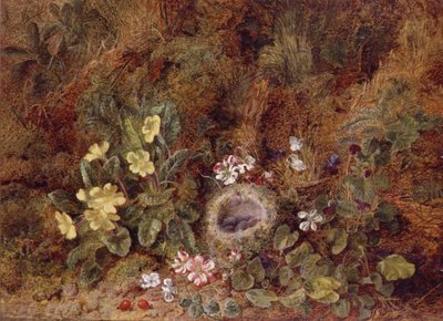 Natura morta con nido di uccelli e fiori selvatici da George Clare