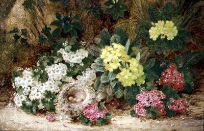 Natura Morta con Primule da George Clare