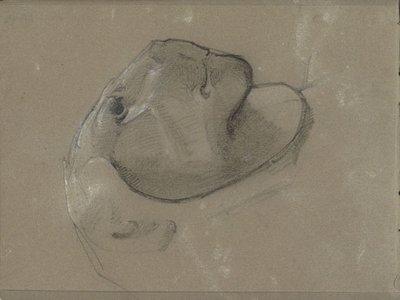 Testa di leone, probabilmente da una scultura da George Clausen