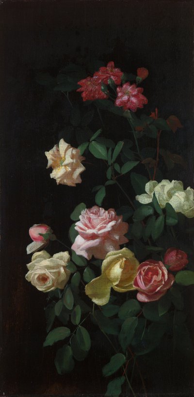Rose da George Cochran Lambdin
