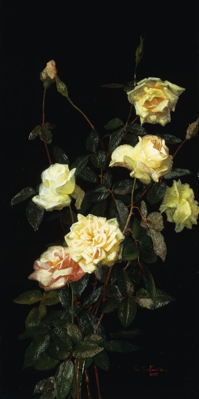 Rose, 1878 da George Cochran Lambdin