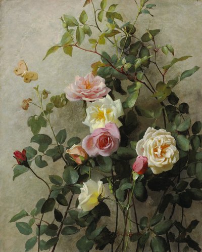 Rose su un muro da George Cochran Lambdin