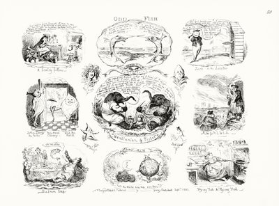 Pesce strano da George Cruikshank