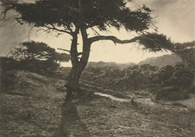 Il Braccio Lungo da George Davison