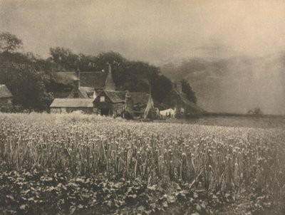 Camera Work: Il campo di cipolle - 1890, 1890 da George Davison