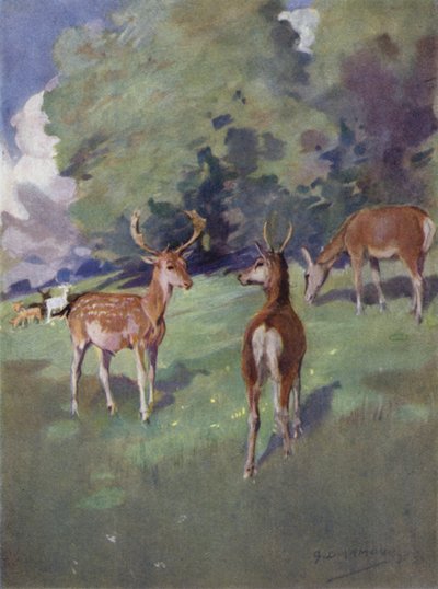 Illustrazione per 