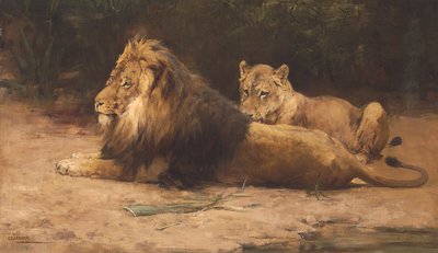 Leone e leonessa a riposo da George Denholm Armour