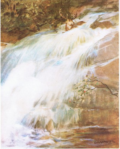 Gettando la testa in alto in un ultimo atto di sfida, si tuffò nella cascata da George Denholm Armour