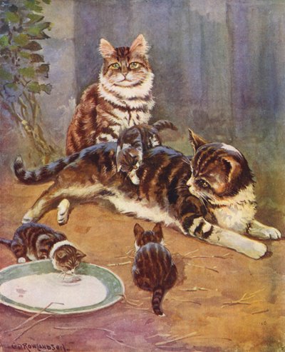 Nell era una bellissima tabby da George Derville (after) Rowlandson