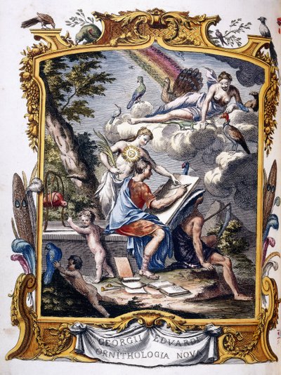 Frontespizio da "Una storia naturale di uccelli non comuni, e di alcuni altri animali rari e non descritti,.." da George Edwards