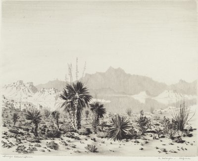 Un Miraggio, Arizona da George Elbert Burr