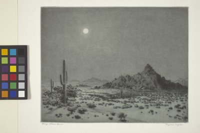 Notte in Arizona da George Elbert Burr