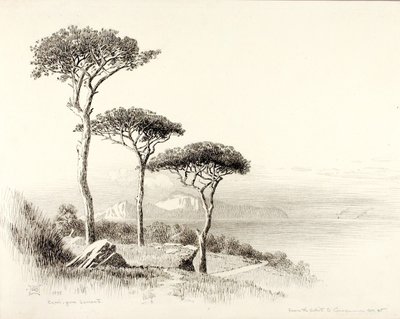 Capri from Sorrento da George Elbert Burr