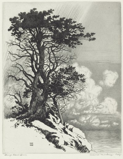 Costa a Monterey, California da George Elbert Burr