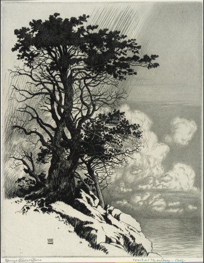 Costa di Monterey, California da George Elbert Burr