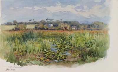 Criccieth, Galles settentrionale da George Elbert Burr