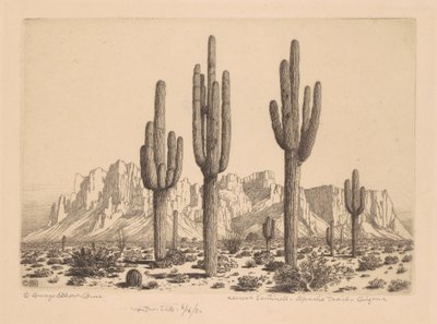 Sentinelle del deserto, Apache Trail, Arizona da George Elbert Burr