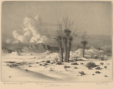 Sera, Arizona da George Elbert Burr