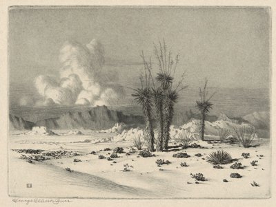 Sera, Arizona da George Elbert Burr